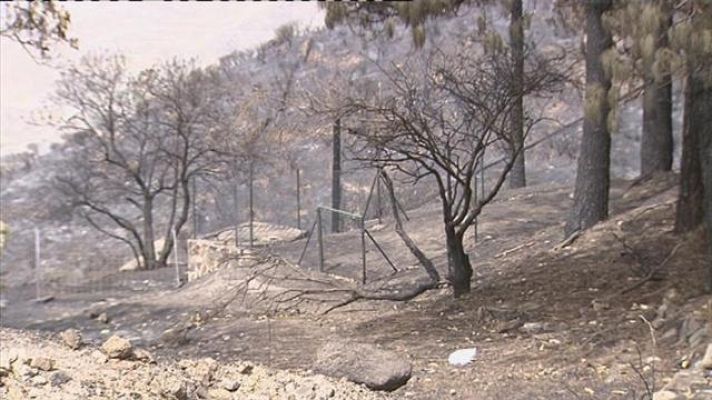 Telecanarias - Telecanarias - 23/09/2017