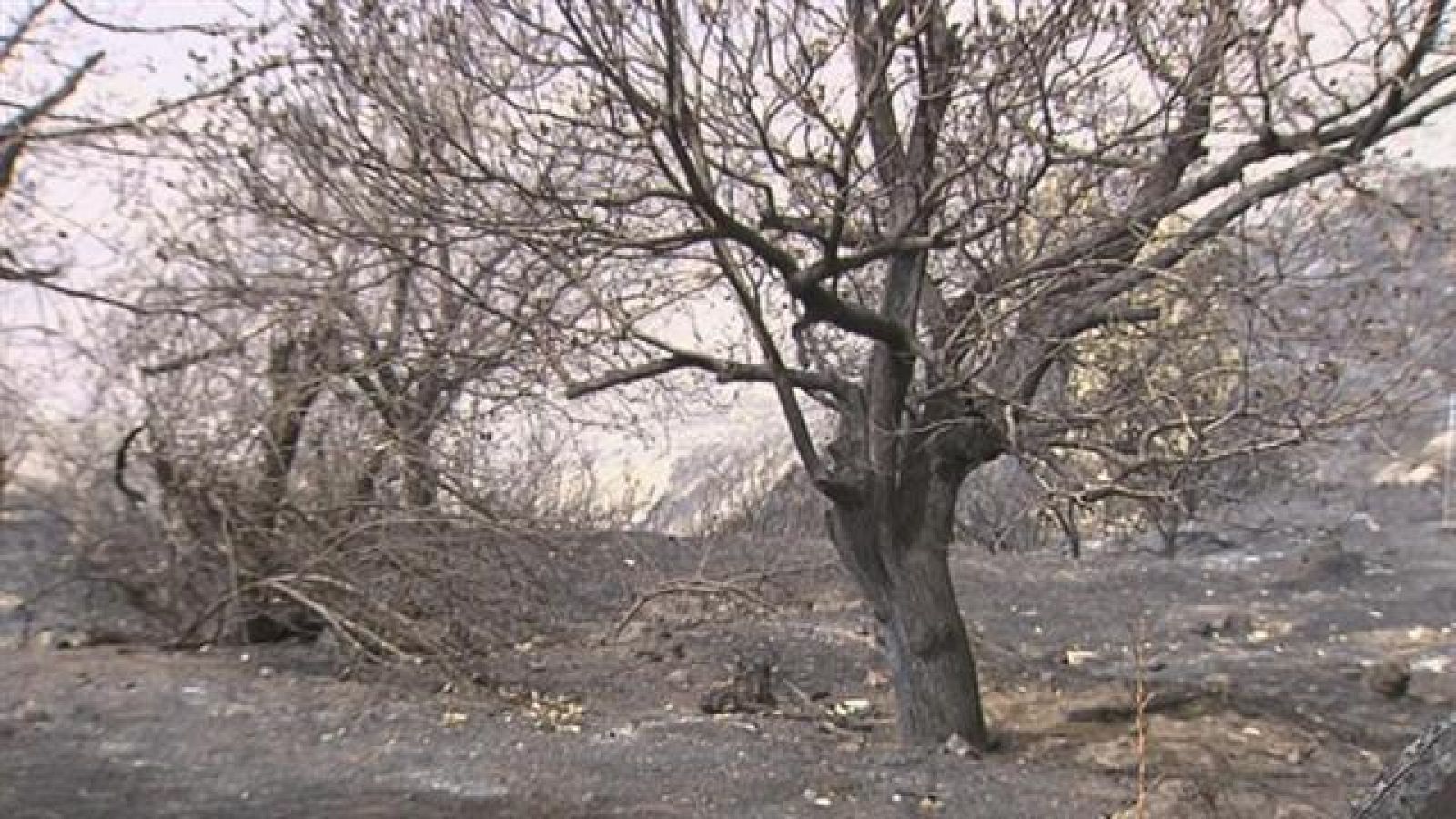 Canarias en 2' - 23/09/2017