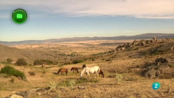 Agrosfera - Valle de Amblés