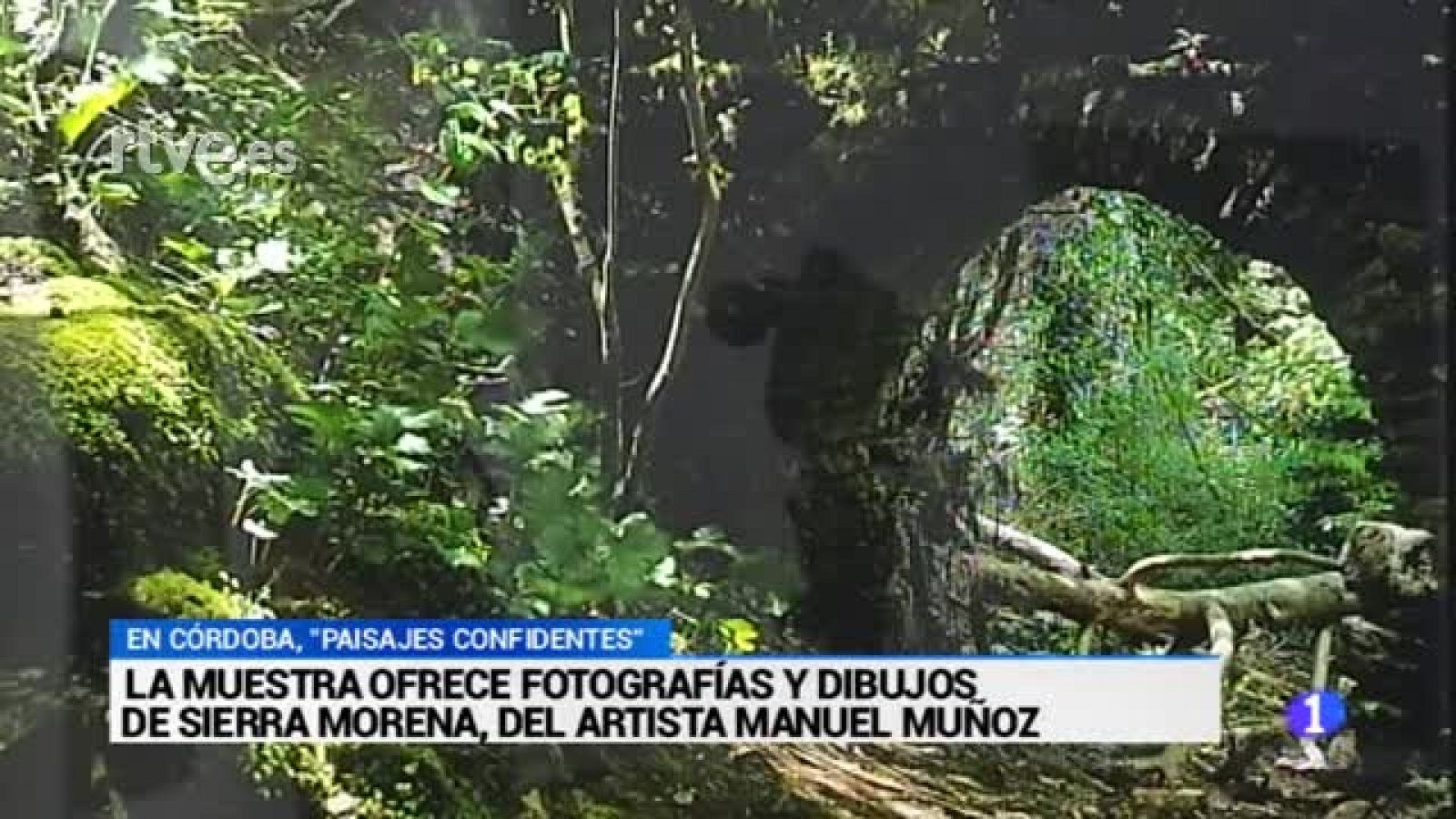 "Paisajes confidentes", una muestra fotográfica de Miguel Muñoz | Ver