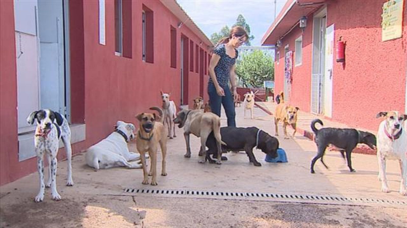 Telecanarias 2 - 25/09/2017