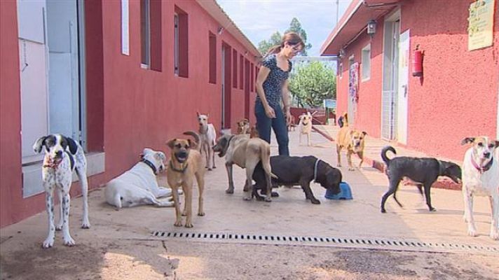 Telecanarias - Telecanarias 2 - 25/09/2017