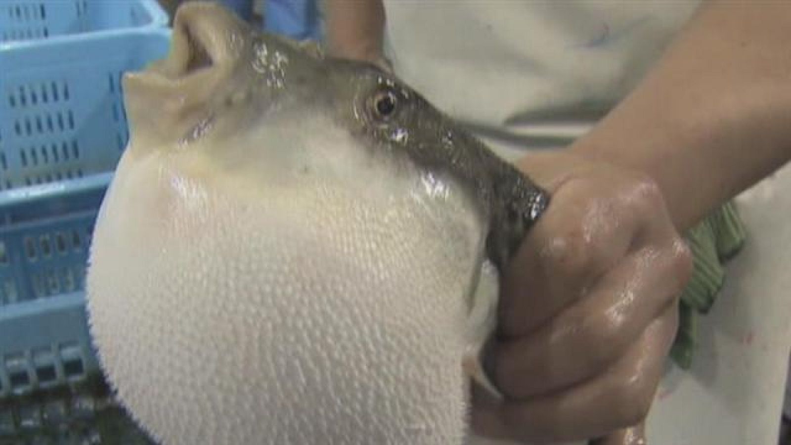 Canarias en 2' - 26/09/2017