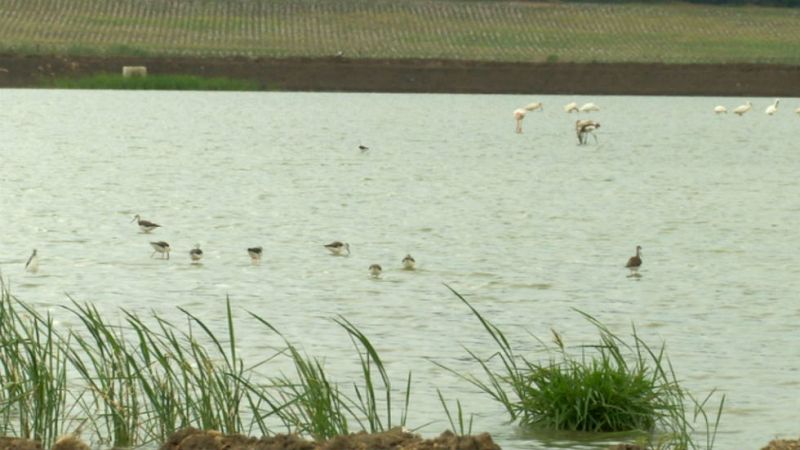 La aventura de los nómadas del viento