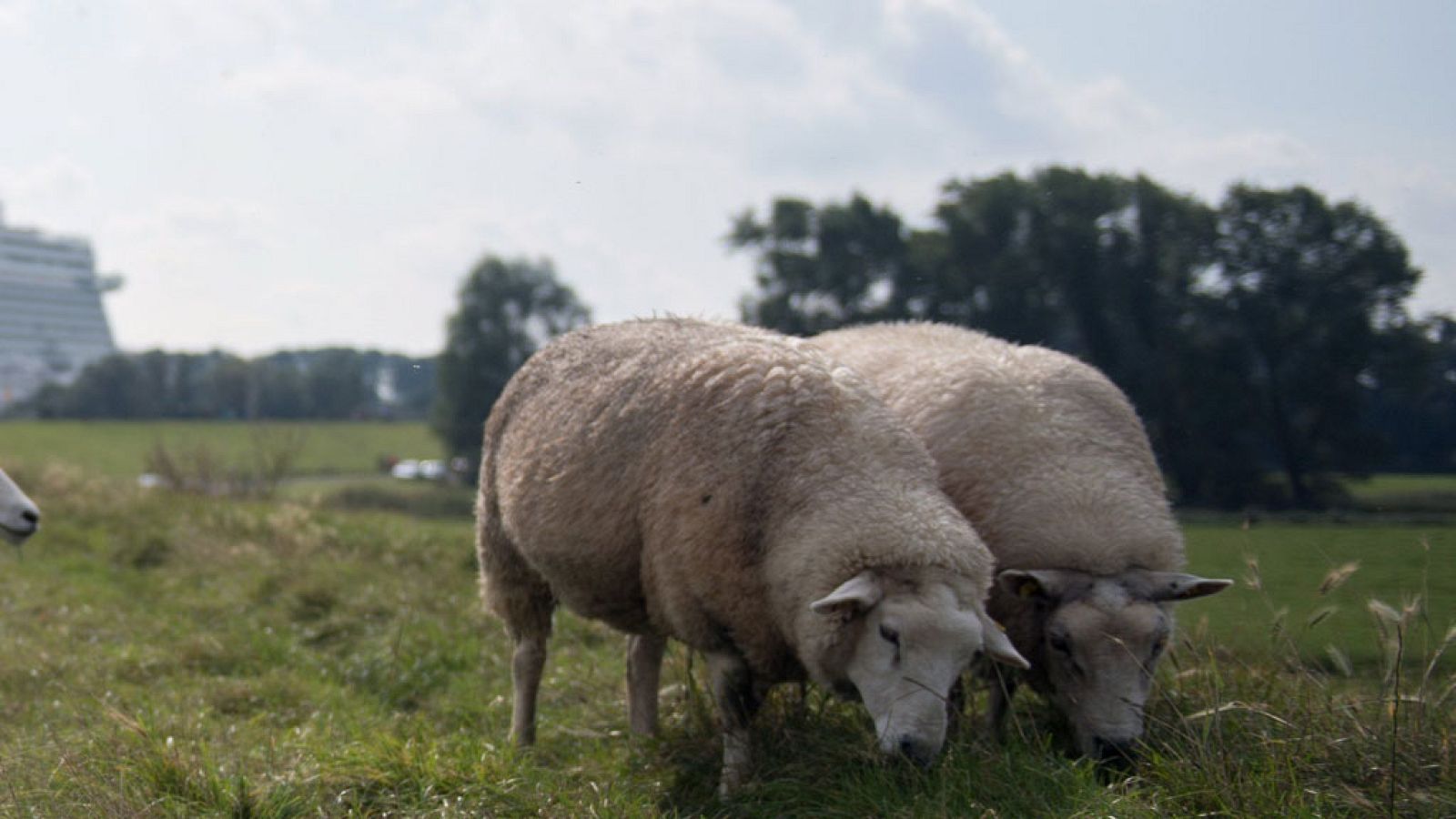 Las temperaturas suben en el norte, pero bajan en Andalucía y Murcia