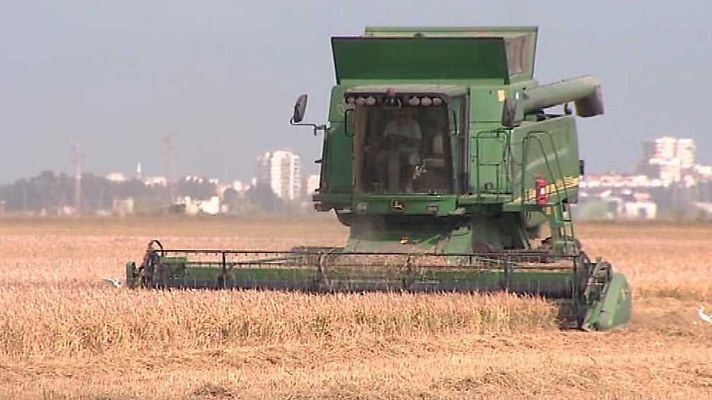 L'informatiu - Comunitat Valenciana - L'Informatiu - Comunitat Valenciana 2 - 28/09/17