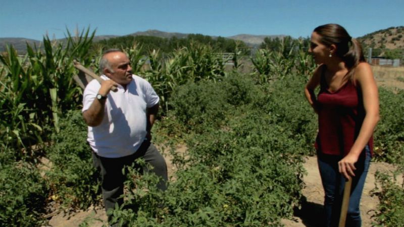 Aquí la tierra - De la huerta a la frutería