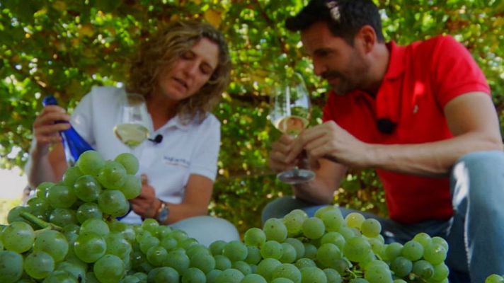 Aquí la Tierra - Albariño, ¿nombre de vino o de uva?