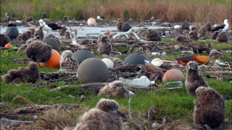 Cada segundo se vierten a los océanos hasta 200 kilos de plástico