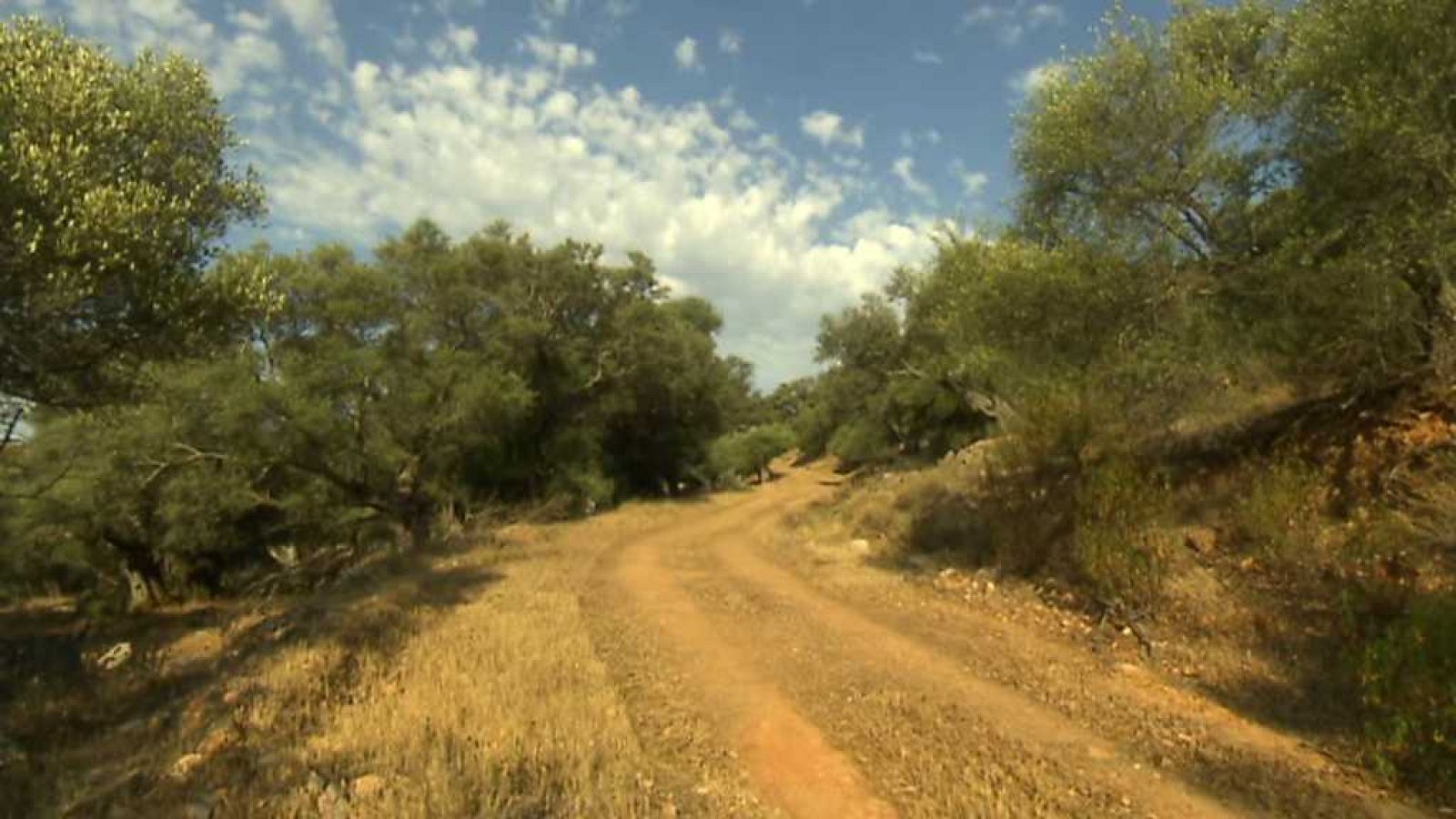 El escarabajo verde - Fragor de fuego - ver ahora
