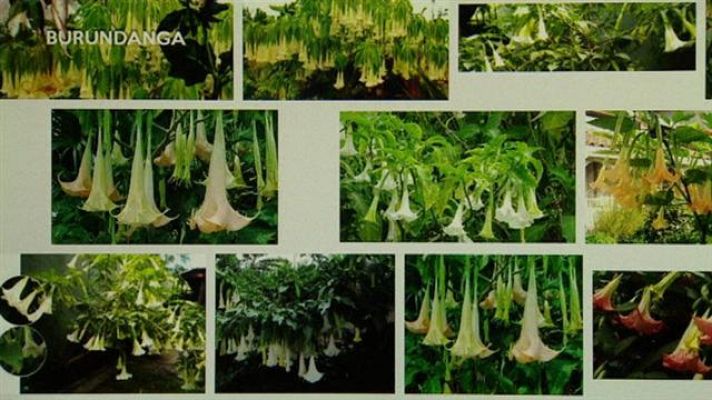 Telecanarias - Telecanarias - 30/09/2017