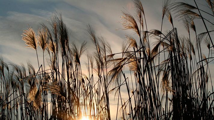 El tiempo - Nubes en el tercio norte y lluvias en Baleares y litoral catalán