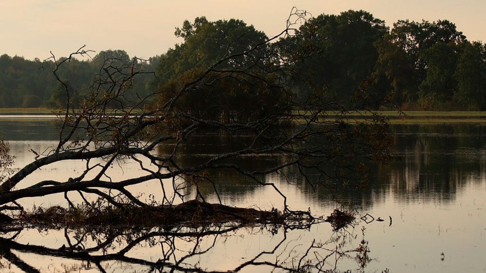 Nuboso con chubascos en el nordeste de Cataluña y probablemente también en Baleares