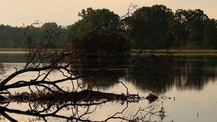 El tiempo - Nuboso con chubascos en el nordeste de Cataluña y probablemente también en Baleares