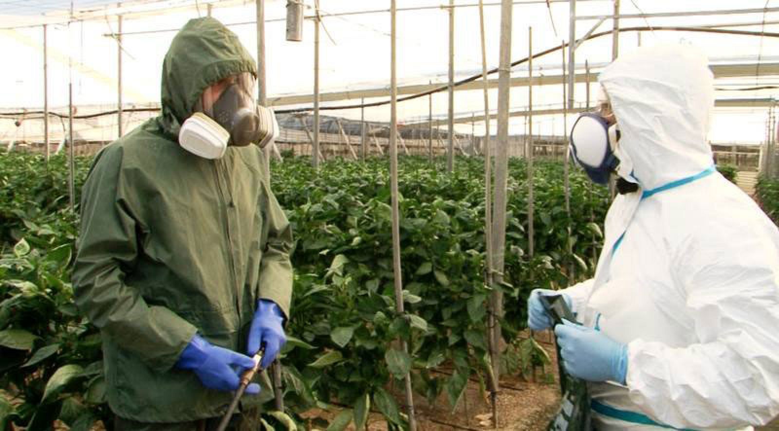 Comando Actualidad - Comer seguro - Avance