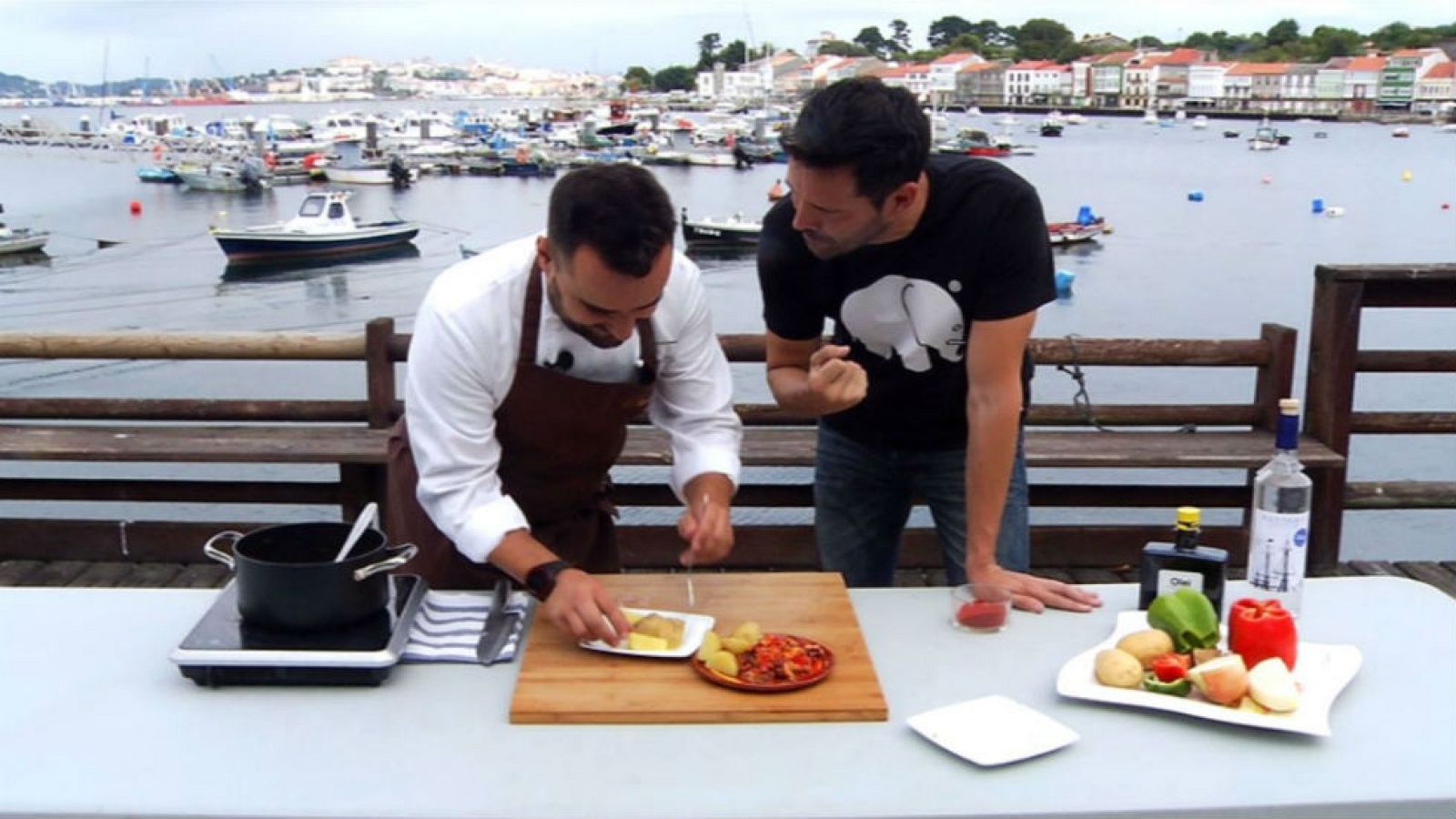 ¿El pulpo es un animal de mar o un animal de tierra?