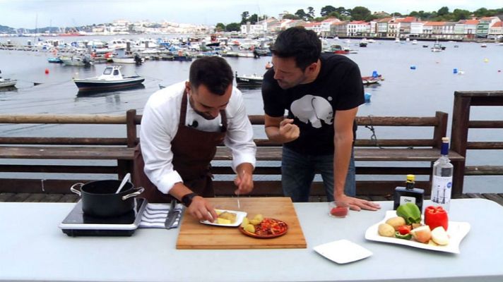Aquí la Tierra - ¿El pulpo es un animal de mar o un animal de tierra?