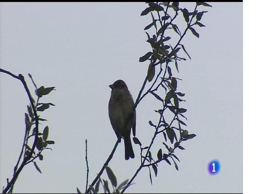 Panorama Regional - El tiempo en Asturias - 03/10/17