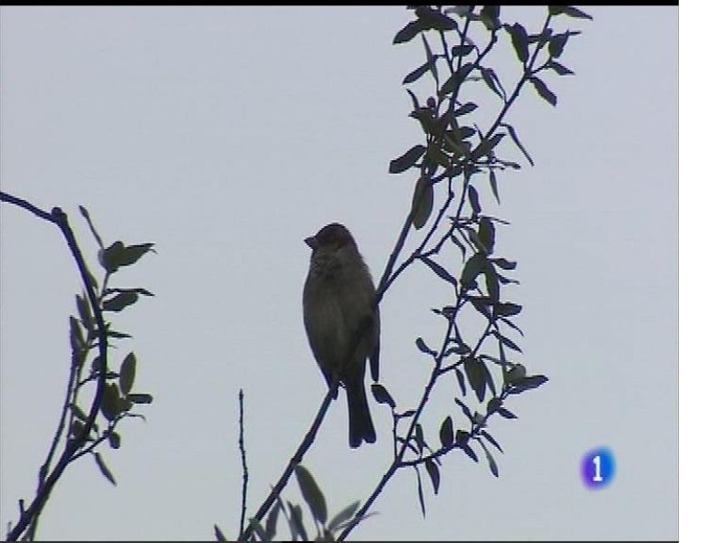 El tiempo en Asturias - 03/10/17 | Ver