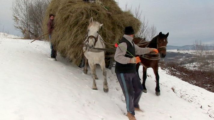 Documenta2 - Maramures, la civilización del bosque