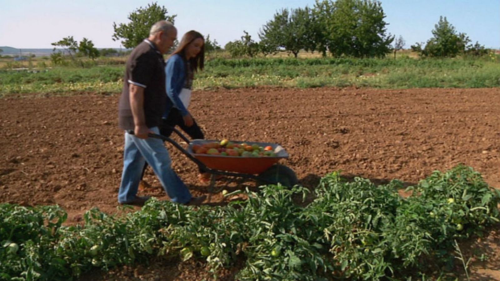 De la huerta a la puerta