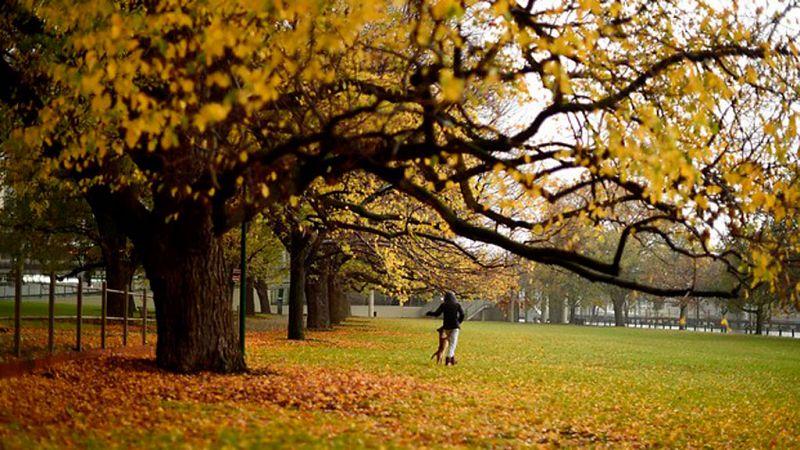 Tiempo seco y soleado en la mayor parte de España