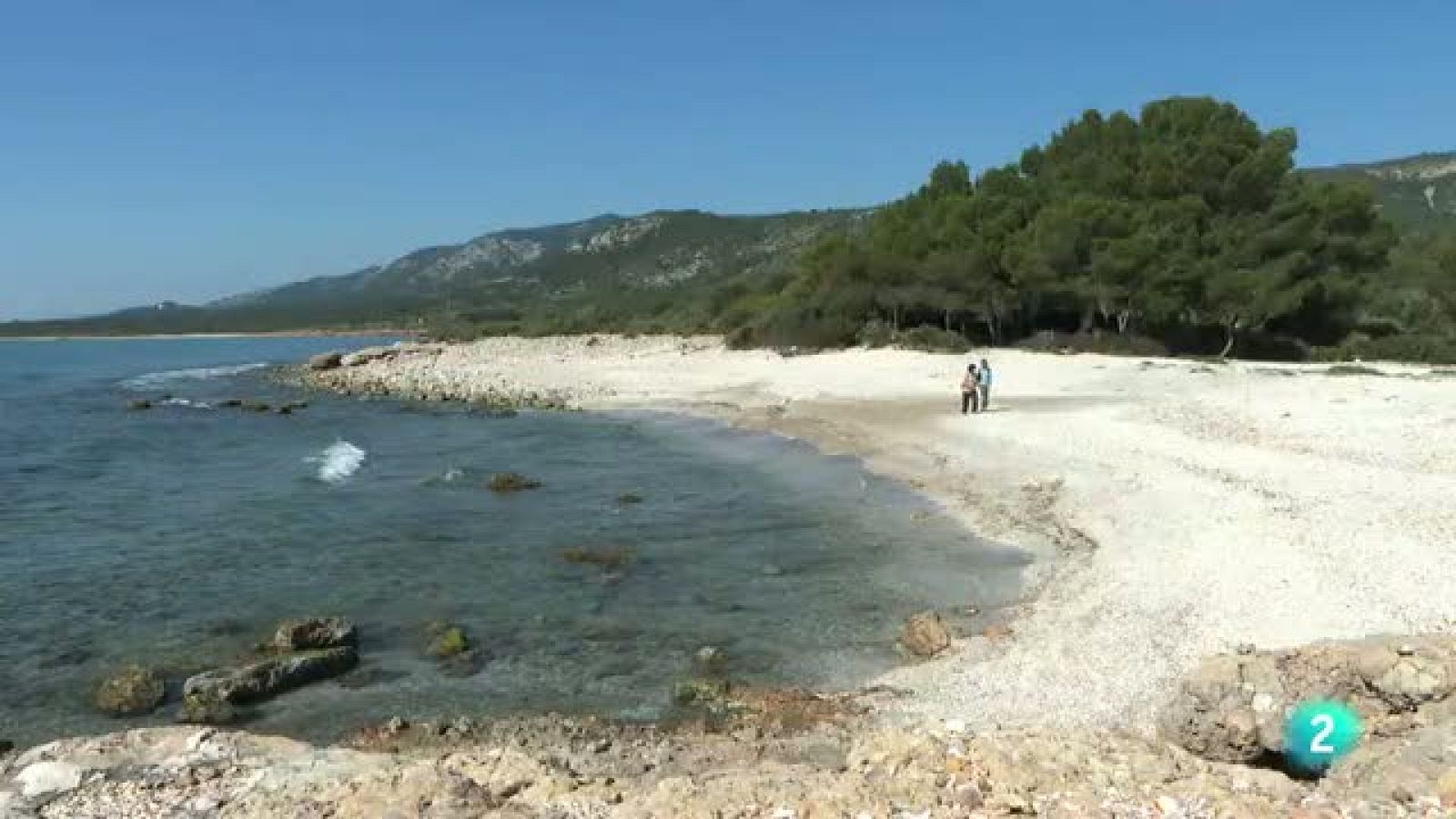 80 cm - La Sierra de Irta