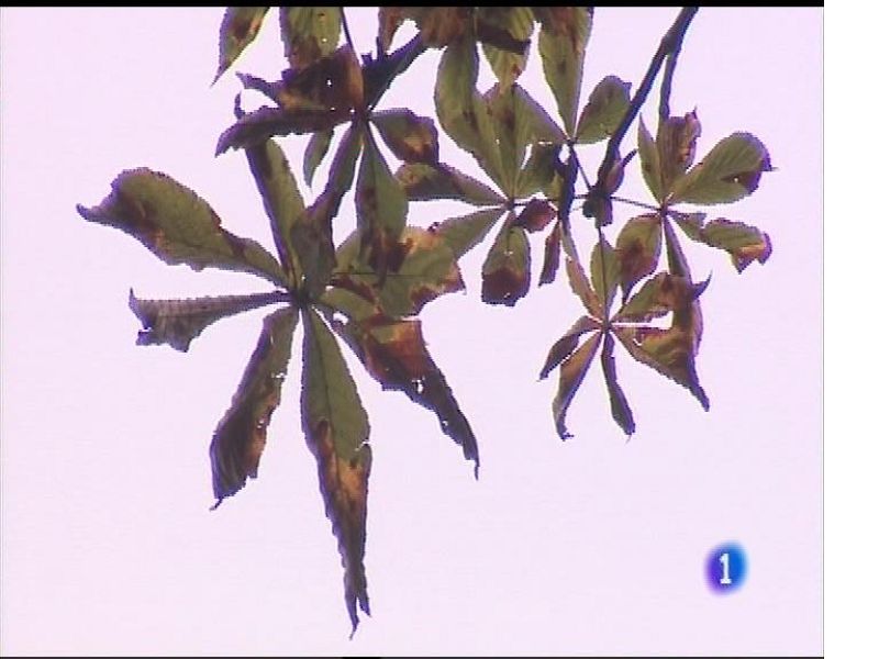 El tiempo en Asturias - 04/10/17 | Ver