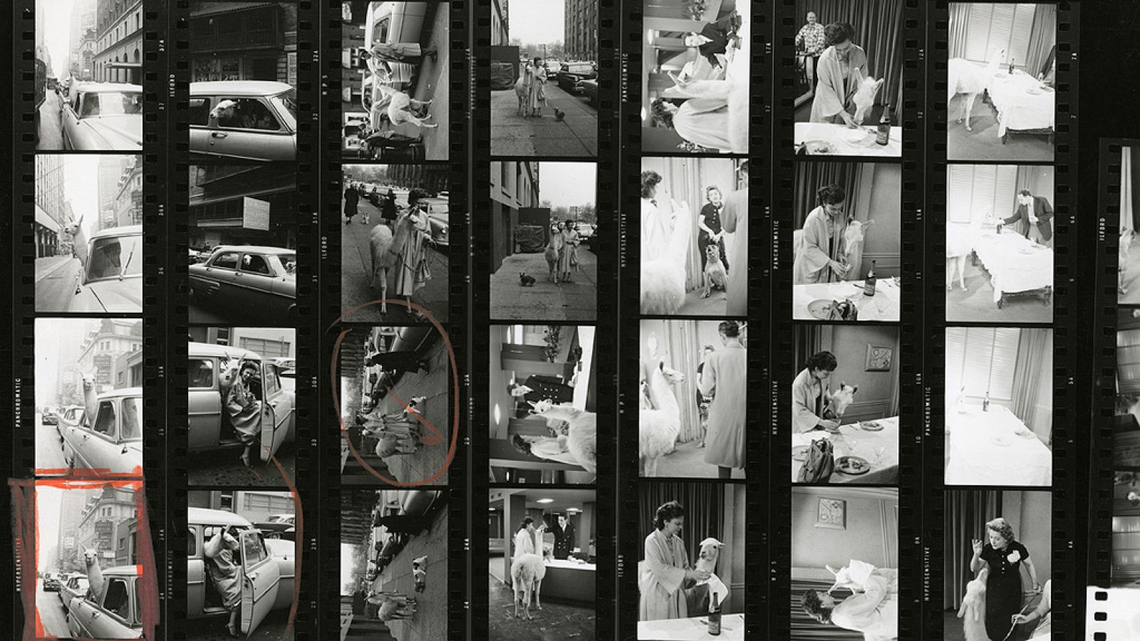 Las "hojas de secretos" de los fotógrafos de Magnum | Ver