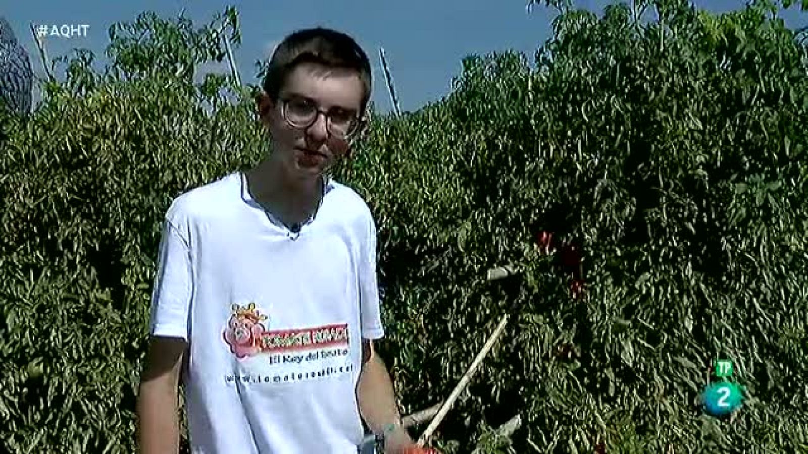 Un emprendedor de 16 años es el Rey del Tomate - Aquí hay trabajo | Ver
