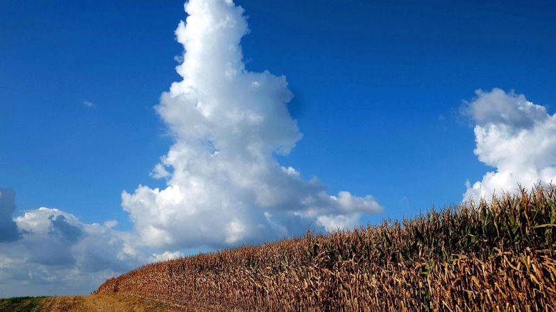 El Tiempo en la Comunidad de Madrid - 05/10/17