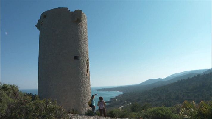 80 cm - Sierra de Irta