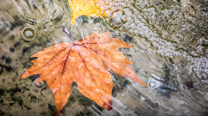 El tiempo - Las temperaturas seguirán por encima de los valores normales para esta época del año