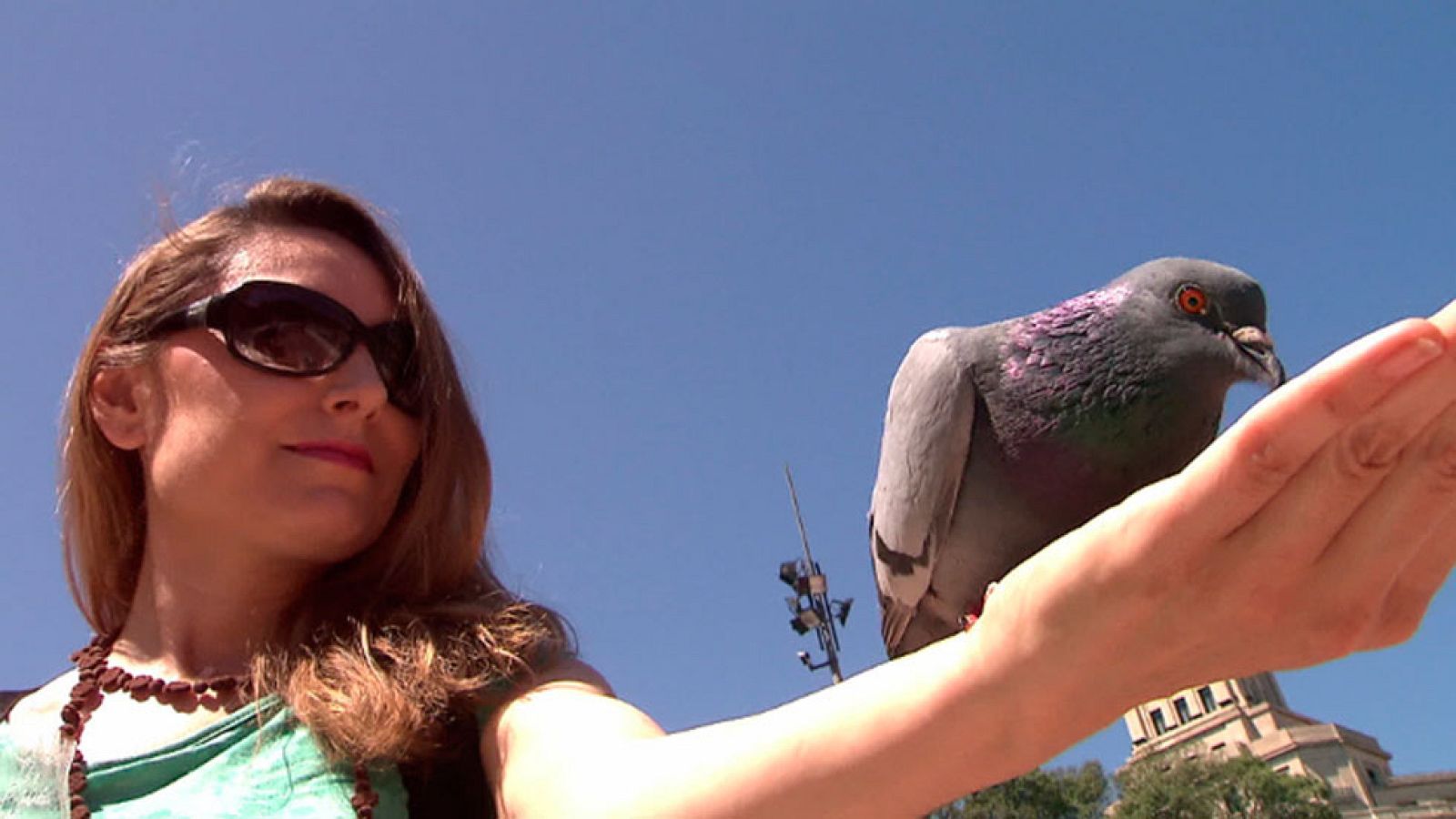 El escarabajo verde - Bicho malo nunca muere - Avance