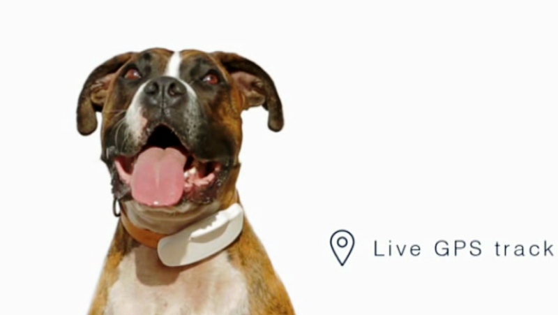 Fábrica de ideas - Inventa: Gösi | Ver