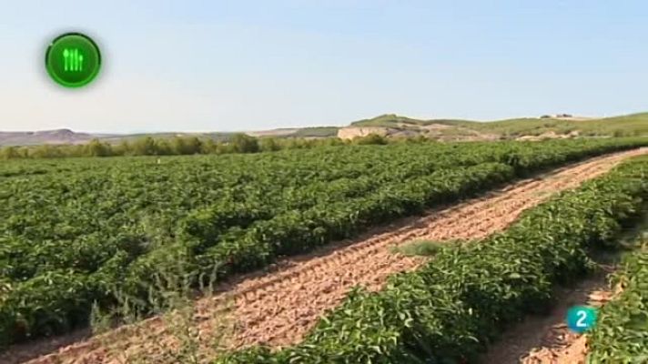 Agrosfera - PIMIENTOS PIQUILLO