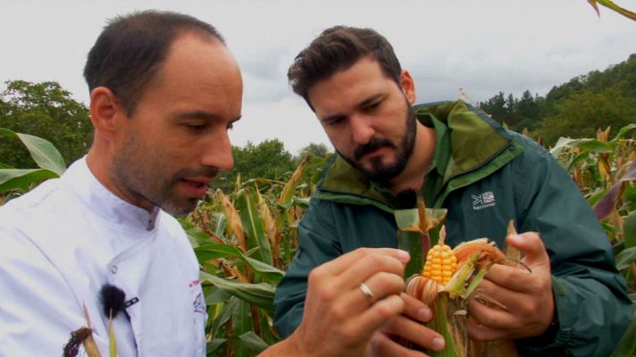 Aquí la Tierra - Pan de maíz de txakinarto