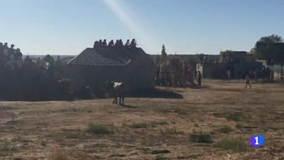 Un hombre muere corneado en un encierro en Valfermoso de Taju�a