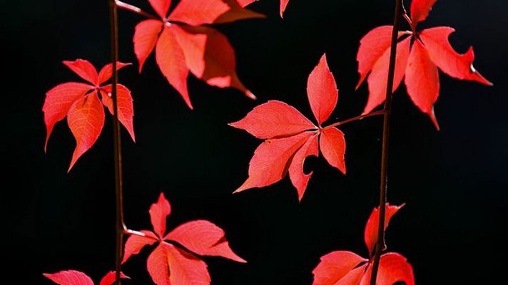 Informativo de Madrid - El Tiempo en la Comunidad de Madrid - 10/10/17