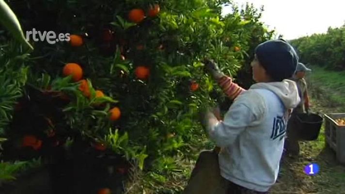  - Preocupación en el campo andaluz por la sequía