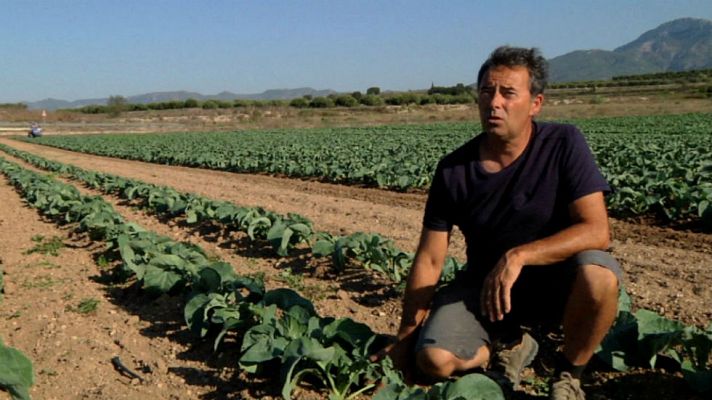  - Carrícola, un ejemplo ecológico