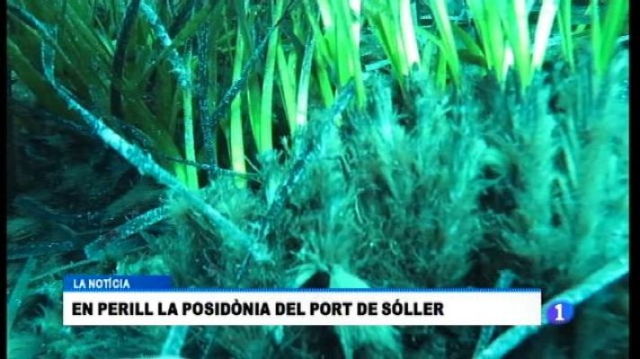 Informatiu Balear - Informatiu Balear - 13/10/17