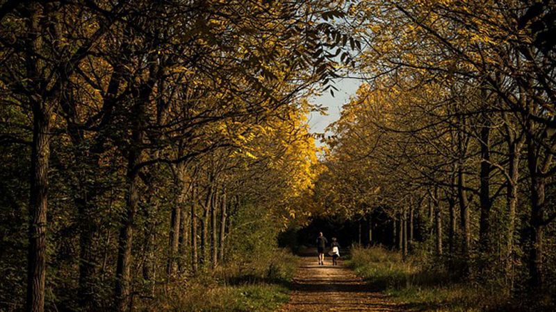 Continúa el tiempo estable con temperaturas significativamente altas