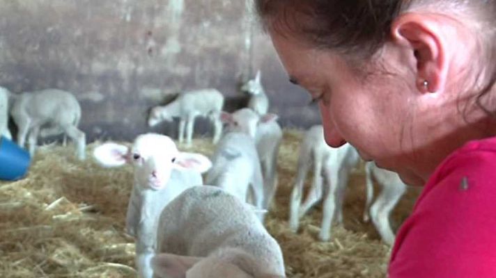 Agrosfera - Agrosfera - 14/10/17