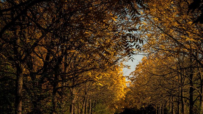 El tiempo - Temperaturas significativamente altas en buena parte del país