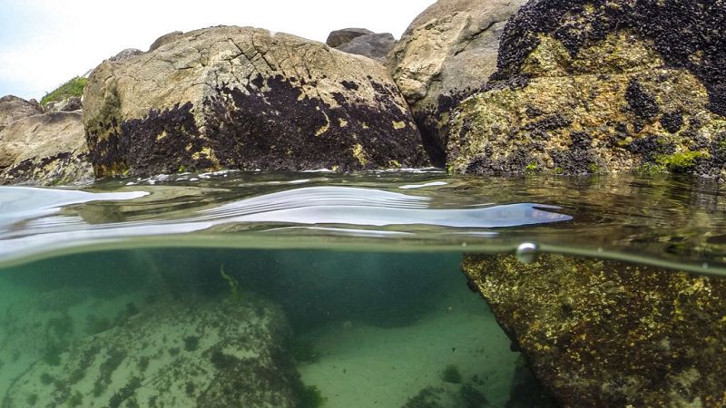 Mas de 1.000 voluntarios participan en una campaña de limpieza de fondos marinos en toda España
