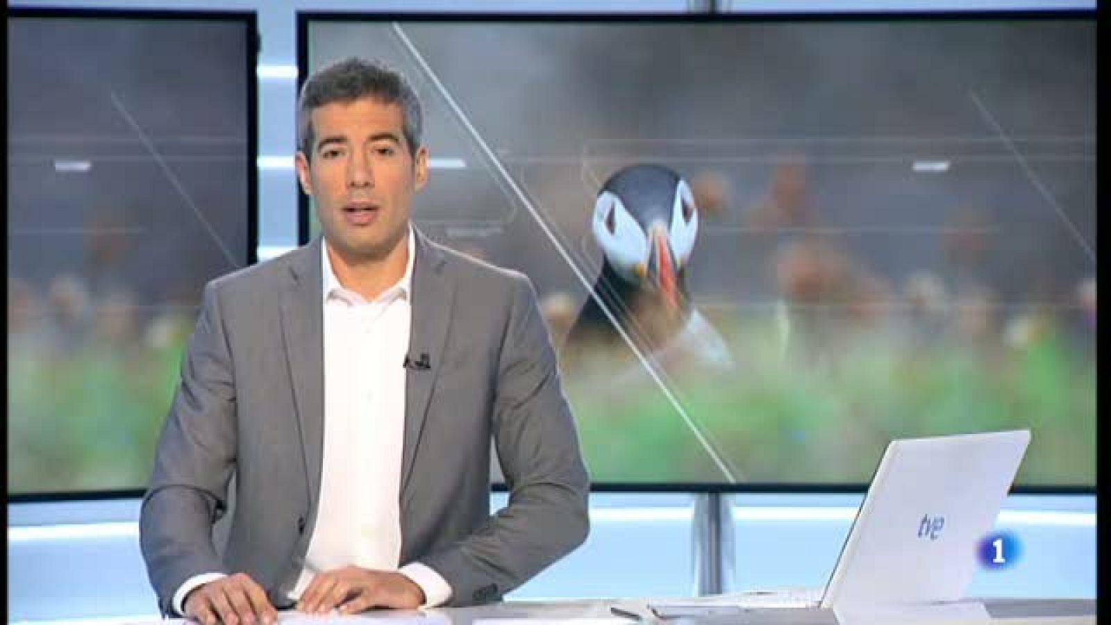 La catalana  Laura Albiac, de 13 anys, finalista del concurs de fotografia de natura que organitza el Museu d'Història Natural de Londres