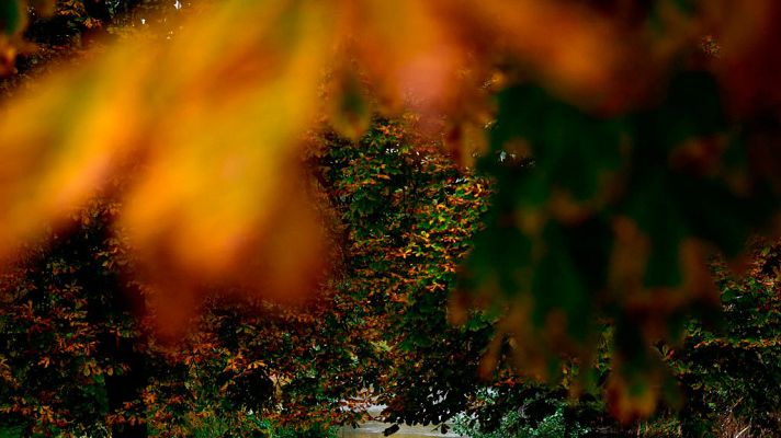 El tiempo - El tiempo será estable en gran parte de España