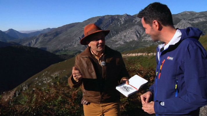 Aquí la Tierra - Donde no llega el avispón asiático