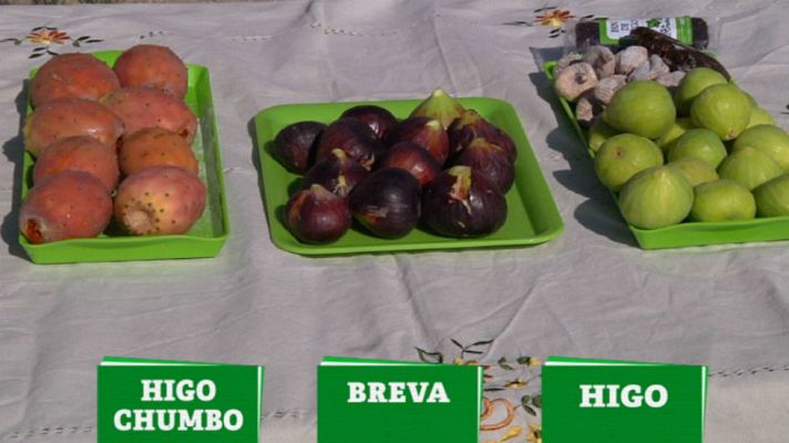 Aquí la Tierra - Diferencias entre higos, brevas e higos chumbos